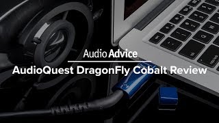 AudioQuest DragonFly Cobalt USB DAC and Headphone Amp Review [upl. by Fine]