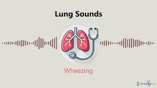 Lung Sounds Wheezing [upl. by Anaugal]