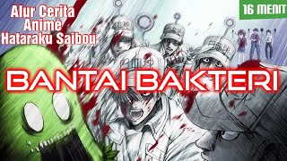 Bantai Bakteri  Alur Cerita Anime Hataraku Saibou [upl. by Myron]