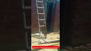 How dog learns to stair up ladder shorts funnyvideo dog practice [upl. by Neliac]