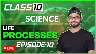 EPISODE  10 LIFE PROCESSES  TRANSPORTATION IN PLANTS [upl. by Amolap76]