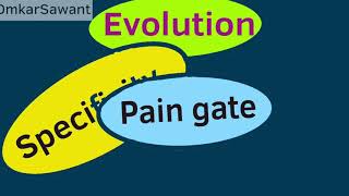 Gate Control Theory of Pain  Drs Tom Rutledge amp David Peterzell 2009 [upl. by Niuqaoj]