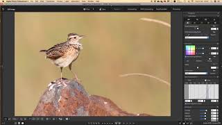 Processing RAW Files in Canon Digital Photo Professional 4 [upl. by Saihtam]