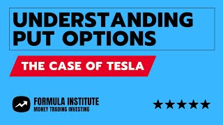 Understanding Put Options The Case of TSLA [upl. by Ednarb69]