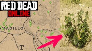 Matricarias Silvestre Ubicación  Red Dead Redemption 2 Online  Desafios Diarios [upl. by Roddy257]