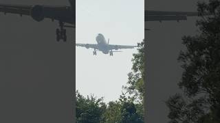 AIRBUS A330302 DELTA AIR LINES DETROIT TO AMSTERDAM LANDING SCHIPHOL  PLANE SPOTTING  N828NW [upl. by Karlyn]