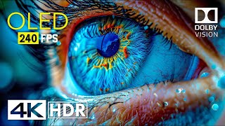 Paradise On Earth： 4K HDR 60 FPS Dolby Vision 4K Video [upl. by Ahsei]