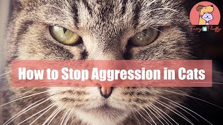 How to Stop Aggression in Cats [upl. by Beverley]