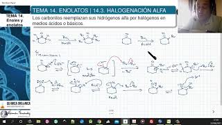 TEMA 14 ENOLATOS  143 HALOGENACIÓN DE LA POSICIÓN ALFA [upl. by Sherfield]