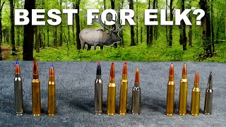 The Best AllAround Cartridges for Elk [upl. by Seraphine821]