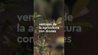 Ventaja de la agricultura con Drones agriculturaresponsable [upl. by Negiam]