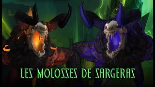 Stratégie Les Molosses de Sargeras  Antorus le Trône Ardent [upl. by Greenes889]