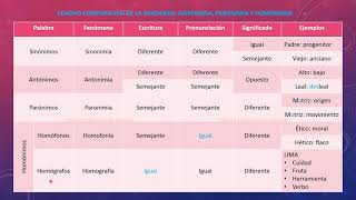 Sinónimos antónimos parónimos y homónimos  teoría [upl. by Home732]