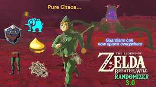 The Botw Randomizer 30 Is PURE CHAOS [upl. by Ib220]