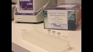 UltraClean GelSpin DNA Extraction Kit Visual Protocol [upl. by Ailil]