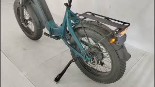 electric bike off road tire with 1000w motor and 48v 20ah battery [upl. by Enylecoj]