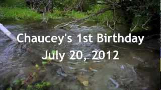 Chauceys 1st Birthday THE MOVIE [upl. by Ettenej841]