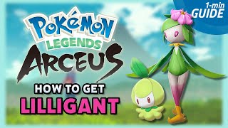 How to get PETILIL and evolve it to LILLIGANT  Pokemon Legends Arceus 1min Guide Shorts [upl. by Hcurob]