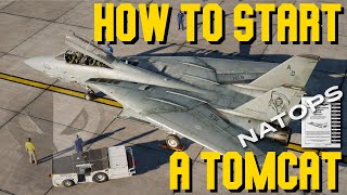 DCS F14 Tomcat Pilot Startup Tutorial  Real life procedures explained [upl. by Yenruoc]