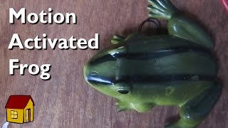 A surprisingly well designed motion activated frog [upl. by Darnoc]