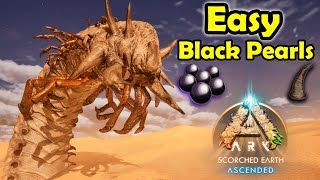 Black Pearl Easy FARM Ark Asa  Deathworm Scorched Earth Ark Survival Ascended [upl. by Colpin398]