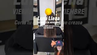 Corte de pelo cortedecabello [upl. by Ynaiffit942]