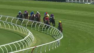 Cascadian wins the Craven Plate [upl. by Sachiko]