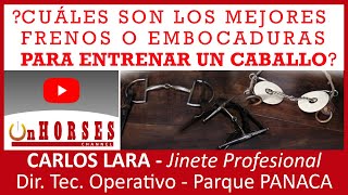 ¿CUÁLES SON LOS MEJORES FRENOS O EMBOCADURAS PARA ENTRENAR UN CABALLO  On HORSES CHANNEL [upl. by Entroc]