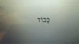 Basics of Biblical Hebrew Practico and Van Pelt ch9 [upl. by Yonita]