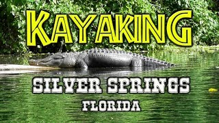 Kayak wGators amp Monkeys  Silver Springs FL [upl. by Ardme]