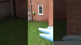 deep drilling a thick clay lawn  UPDATE [upl. by Neeli]