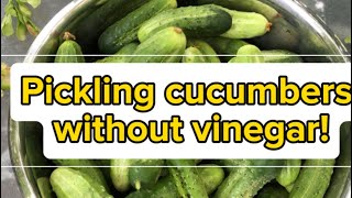 Pickling cucumbers without vinegar Fermenting cucumbers pickle [upl. by Noitsirhc34]