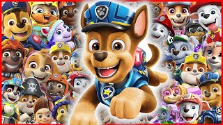 PAW Patrol Theme Song Cover  PAW Patrol [upl. by Aldo145]