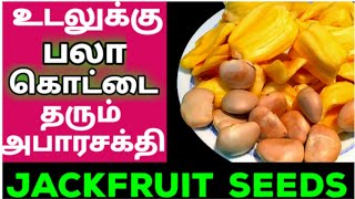 பலாக்கொட்டை பயன்கள் jackfruit seeds benefits pala kottai benefits பலாப்பழம் விதைகள் பலா விதைகள் [upl. by Cathee]