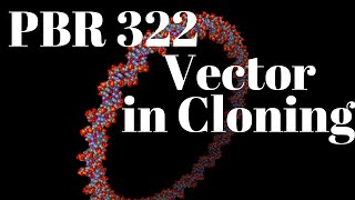 PBR322 plasmid vector  Cloning vector [upl. by Nirrek520]