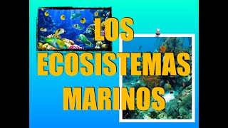 Los Ecosistemas Marinos [upl. by Daren]