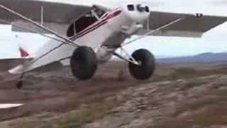 Short Landing and Takeoff Piper Cub [upl. by Ronnie]