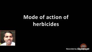 Mode of action of herbicides [upl. by Evangeline]