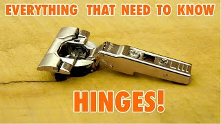 Cabinet Door Hinges  Everything you need to Know [upl. by Bright]