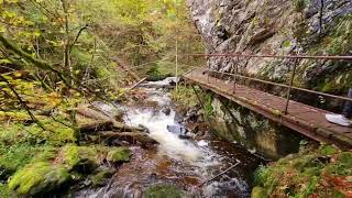 Höllental Ravennaschlucht im Schwarzwald Viele Treppe unterhalb Großjockenmühle [upl. by Ardnauq190]