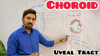 Anatomy and physiology of Uveal Tract  Choroid  Posterior Uvea [upl. by Sparrow287]