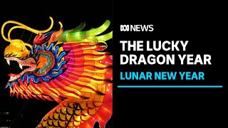 Lunar New Year 2024 What does the year of the dragon mean  ABC News [upl. by Ailehs]