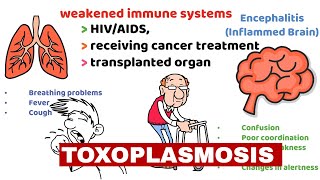 Toxoplasmosis Causes Symptoms and Preventions [upl. by Ebby]