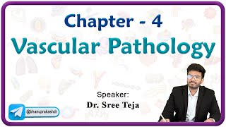 Vascular Pathology  Robbins Pathology  Chapter 4 [upl. by Adaline]