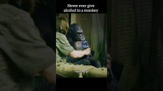 Dawn of the planet of apes shorts movie [upl. by Tram313]