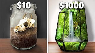 10 vs 1000 Terrarium Ecosystem [upl. by Alboran]