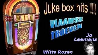 Jo Leemans  Witte Rozen [upl. by Jordain]