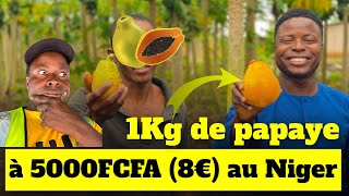 1Kg de papaye à 5 000FCFA 8€ au Niger [upl. by Uile]