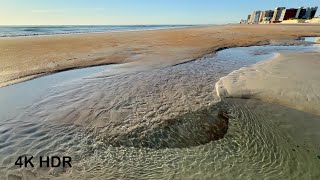 Interesting Tide Pools on the Beach today 🌊 [upl. by Elise]