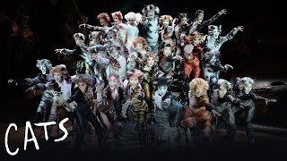 The Naming of the Cats  Cats the Musical [upl. by Doll]